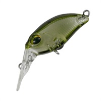 クーガ　ＦＭＲ